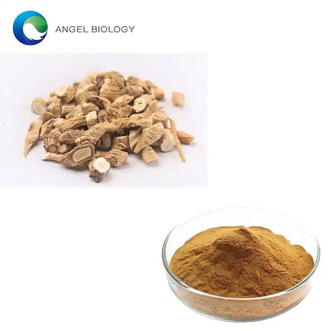 Natural Remedies: Incorporating Isatis Root Extract into Your Routine